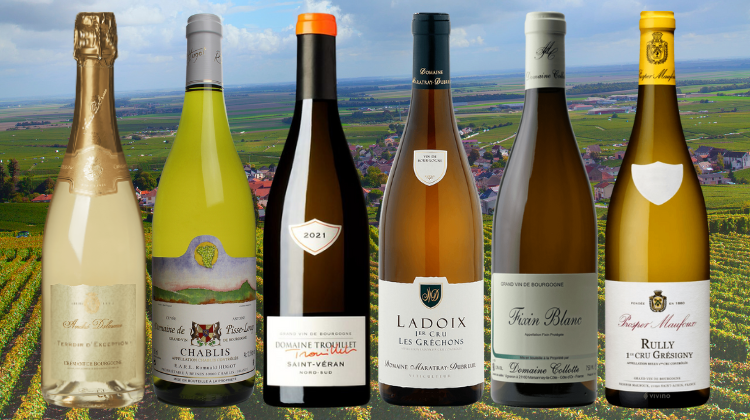 Burgundy Wines Selections
